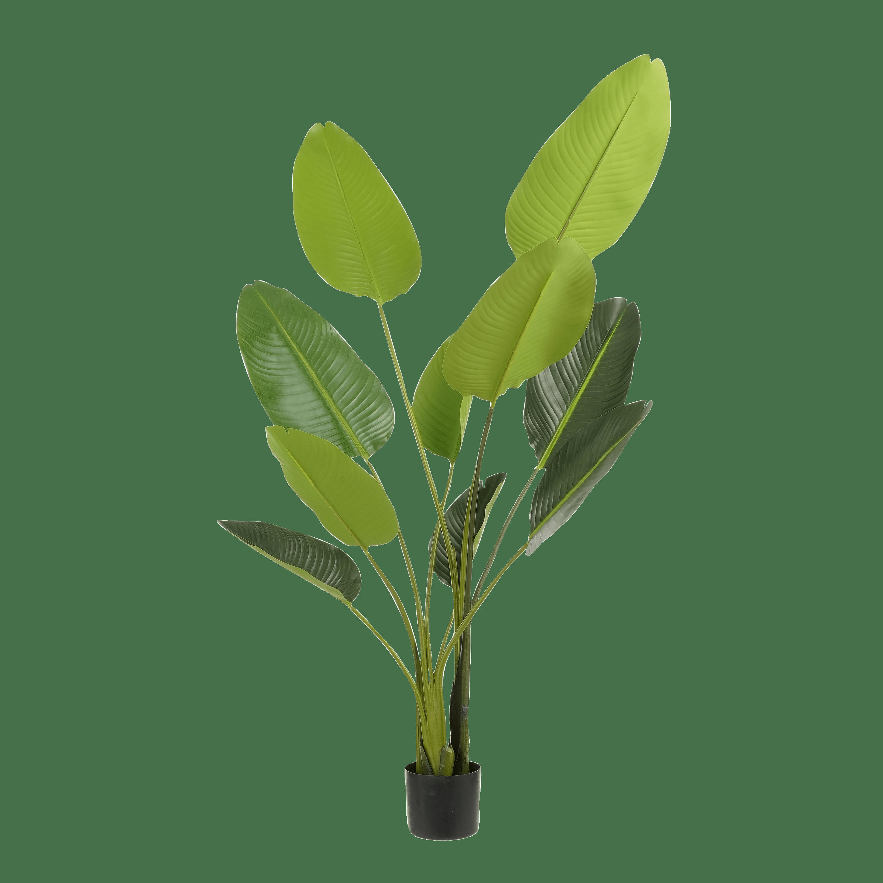 - Strelitzia artificielle en pot vert H150