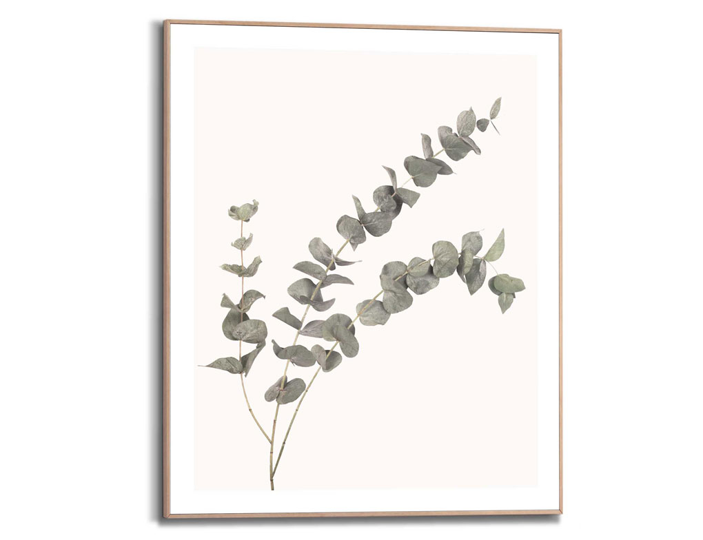 Bild Slim Frame Wood Eukalyptus 2