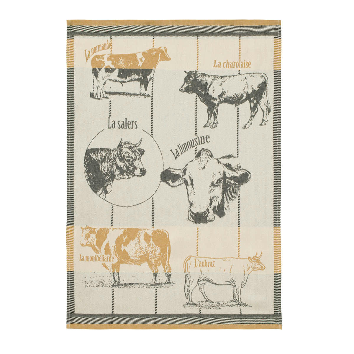 RACES BOVINES - Torchon imprimé en coton Orange 50x75