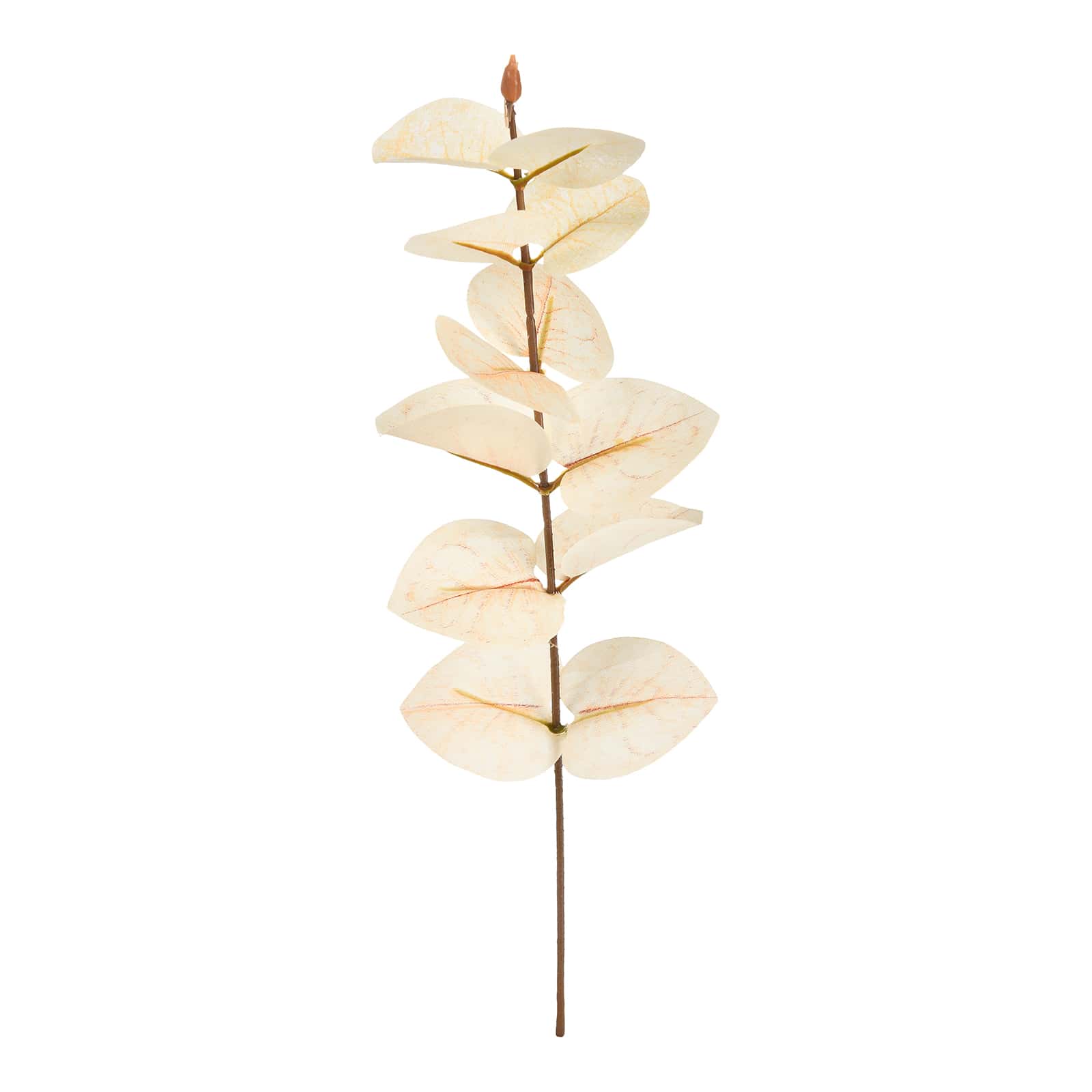 Kunstzweig Eukalyptus Beige,L 270 mm