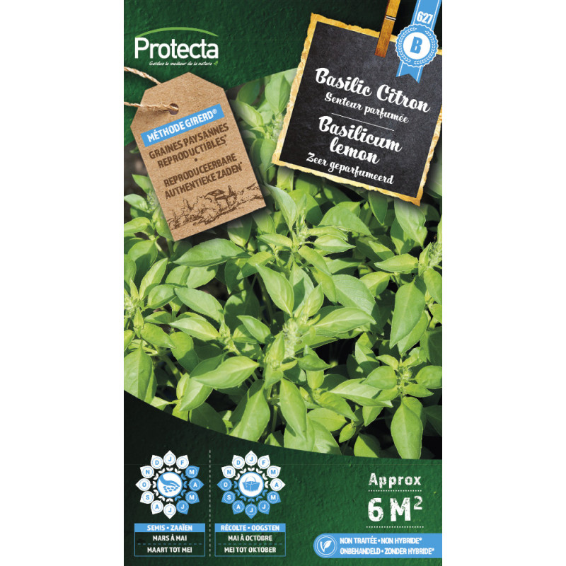 Semences de basilic Citron PROTECTA