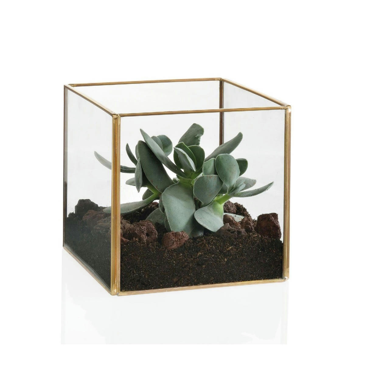 LAITON - Terrarium carré en laiton et verre 12x12x12cm