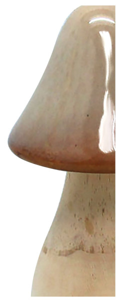 Figura grzyb MAVE