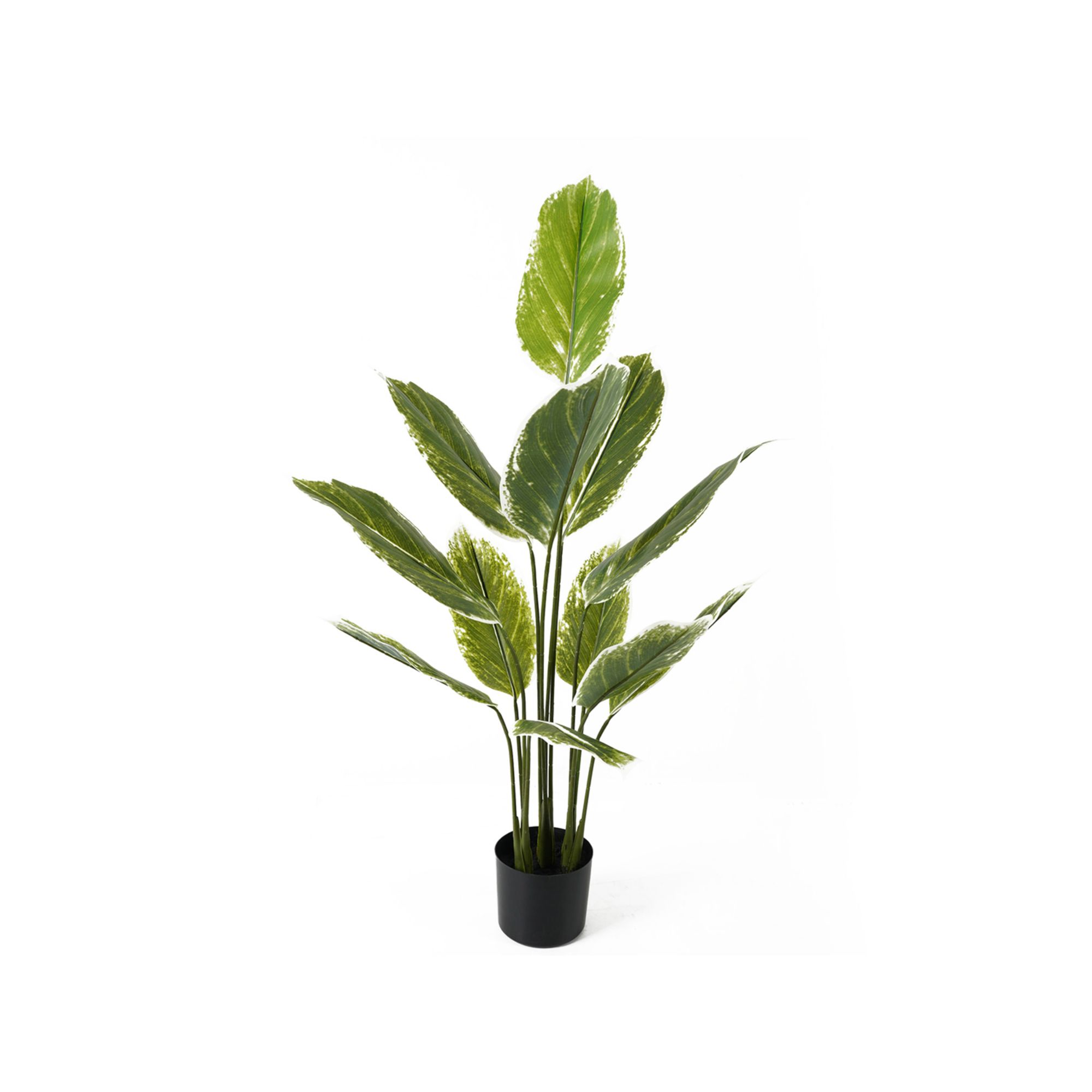 Present Time kunstplant Calathea Large - groen - 70x70x116cm