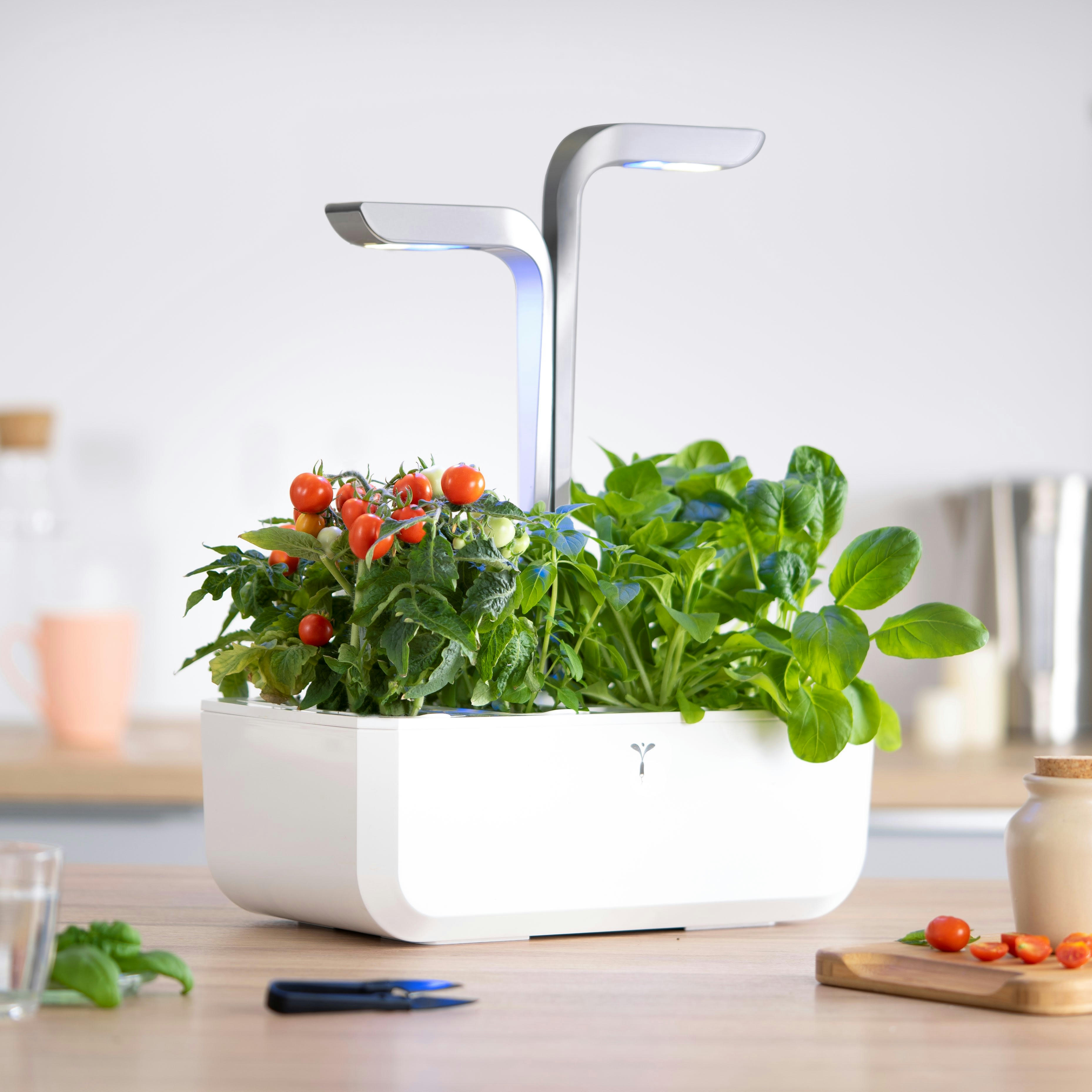 SMART - Potager d'intérieur Véritable® smart arctic white