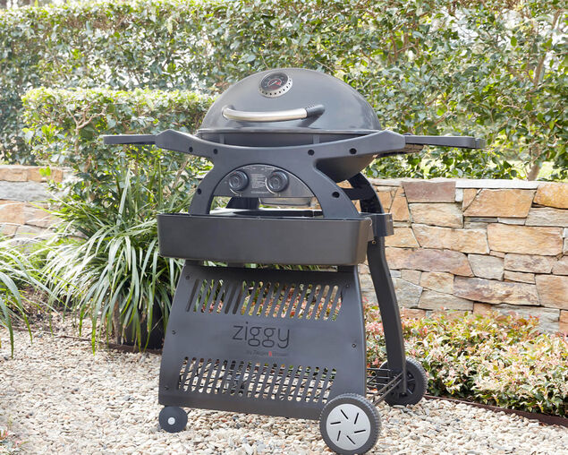 Ziggy Classic Twin Grill LPG BBQ Plus Cart Bundle - Gunmetal Grey