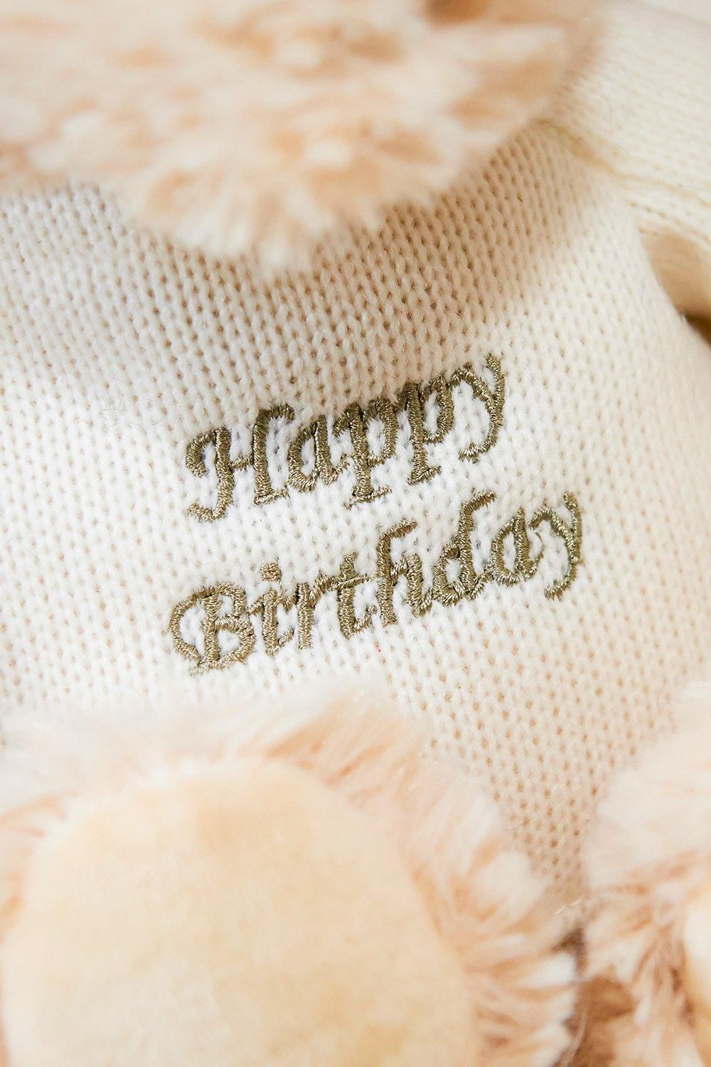 Intelex Warmies 9'' Happy Birthday Microwaveable Plush Bear