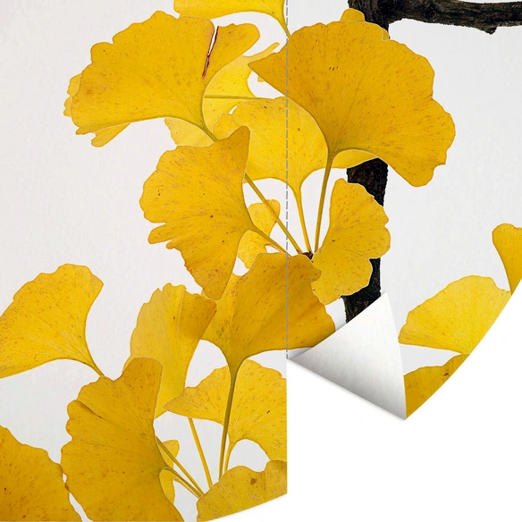 Vliestapete »Runde Vliestapete«, Kadam Ginko Baum Gelbe, mehrfarbig, matt
