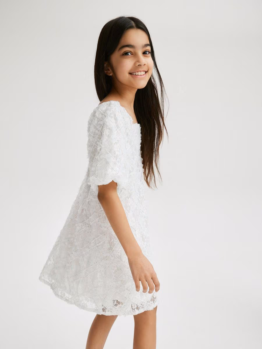 Lace Dress With Embroidery