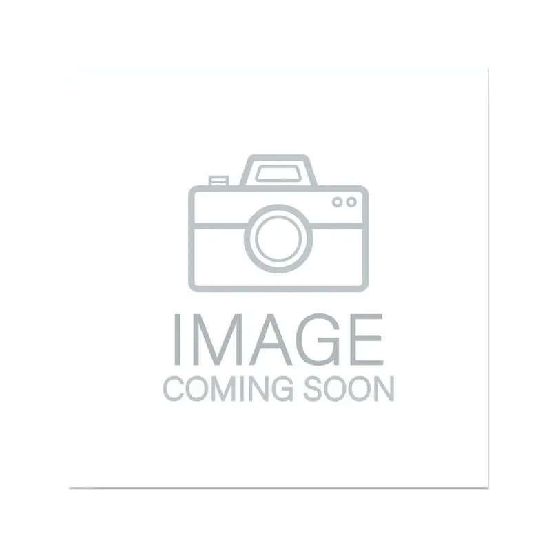 Tasche AlphaTheta CDJ-3000X