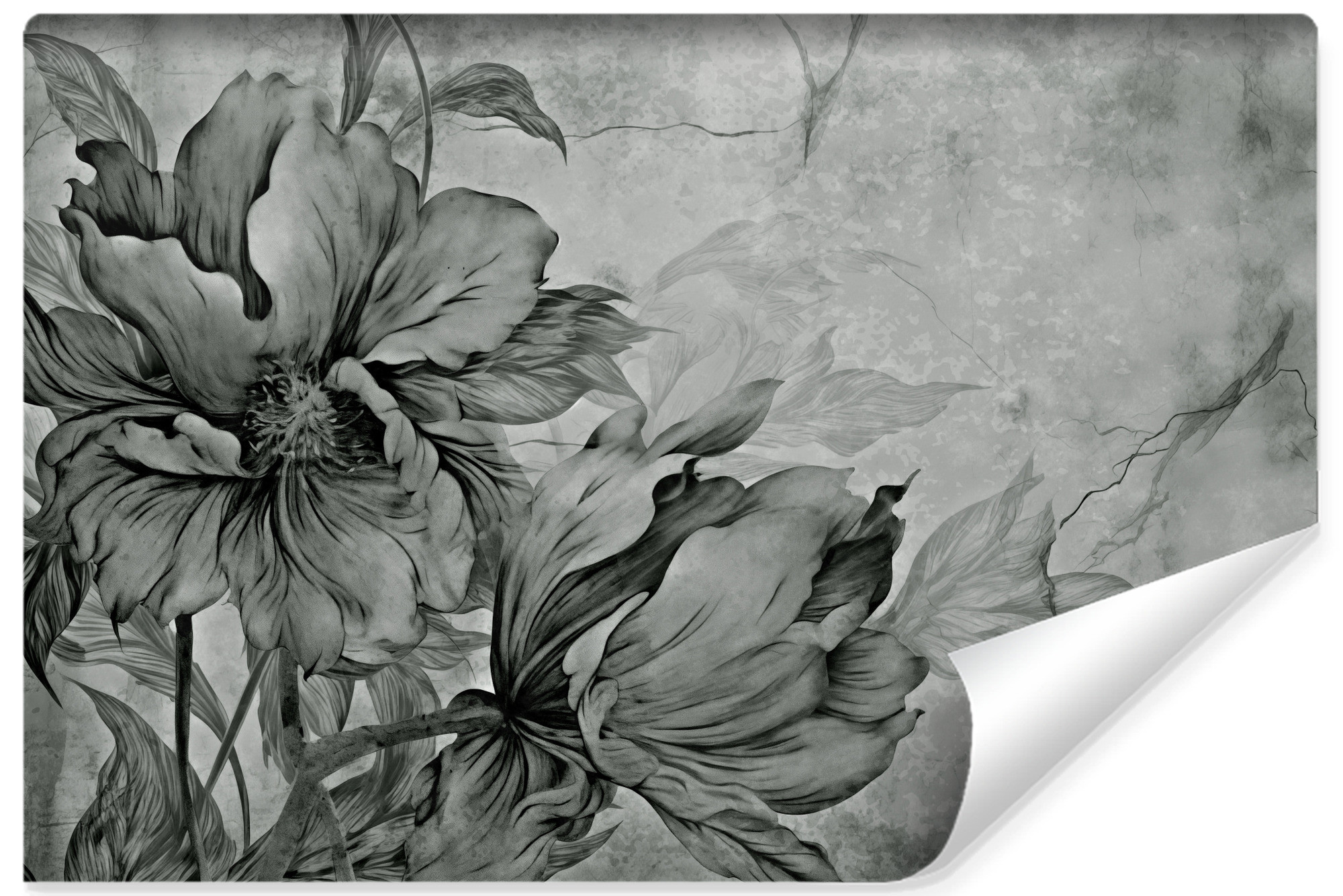 Fototapeta Abstrakcyjne Kwiaty Na Betonie 90x60cm