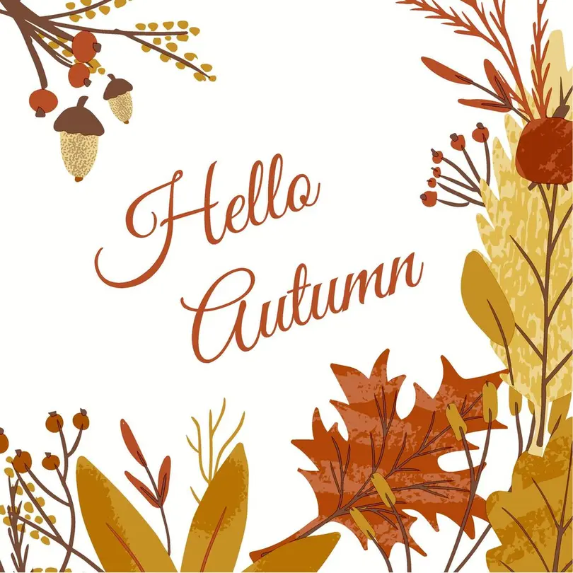 Serviette 20er-Set Hello Autmn