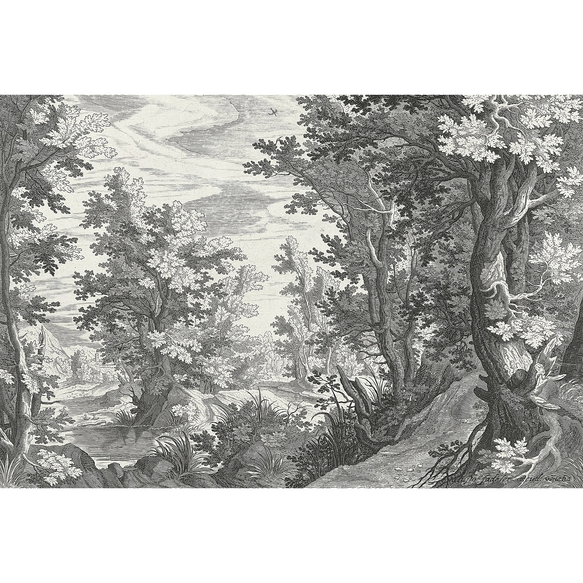 Papier peint panoramique XL FANCY FOREST 400 x 270 cm