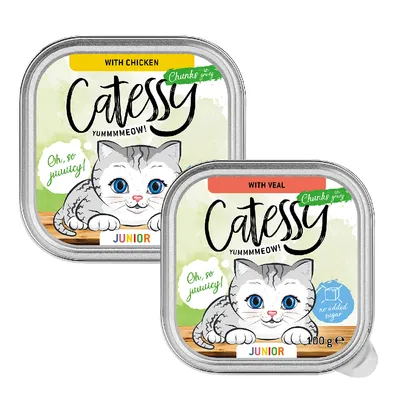 Catessy Junior Chunks in Gravy Mixed Pack