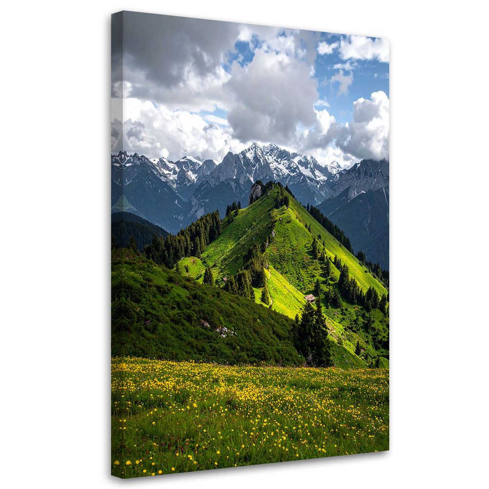 Obraz do salonu sypialni biura, Pejzaż widok góry las natura 20x30