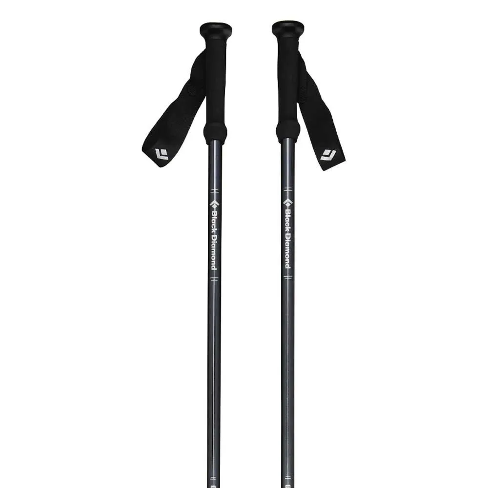 Black Diamond Explorer 2 poles
