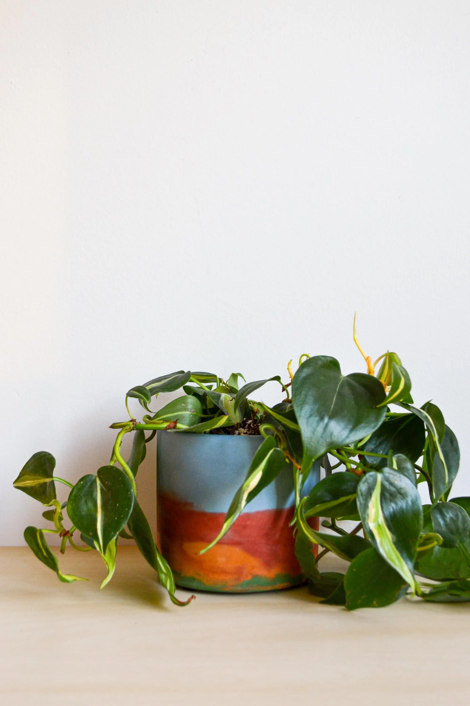 Rainbow Watercolor Concrete Planter: Handmade Indoor Plant Pot