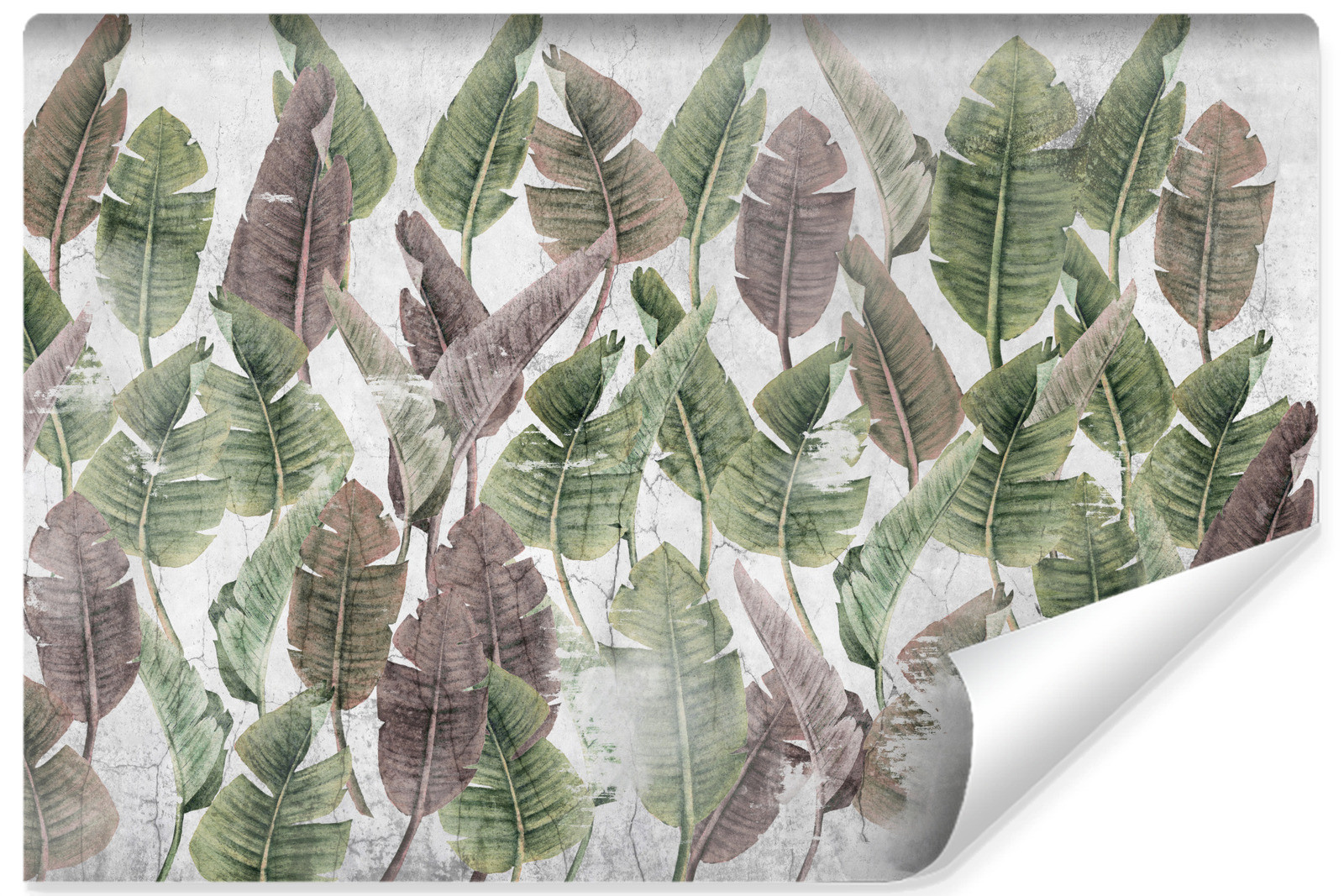Fototapeta Liście palmowe na betonie 90x60cm