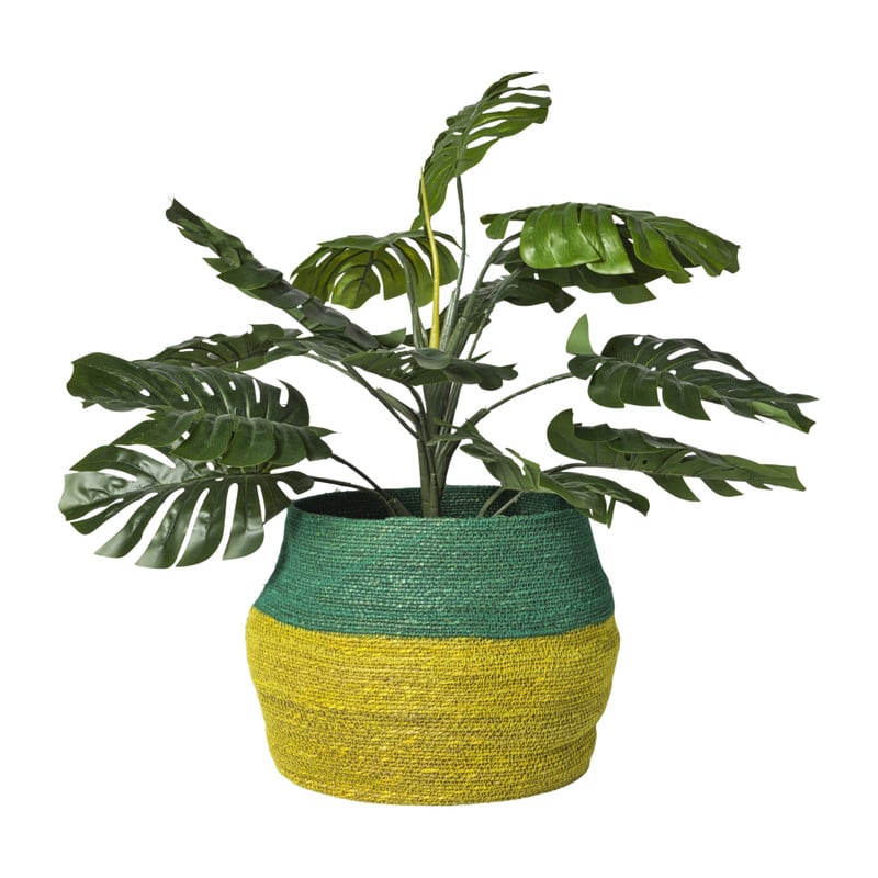 Mand colorblock - groen/geel - &Oslash;35x26 cm