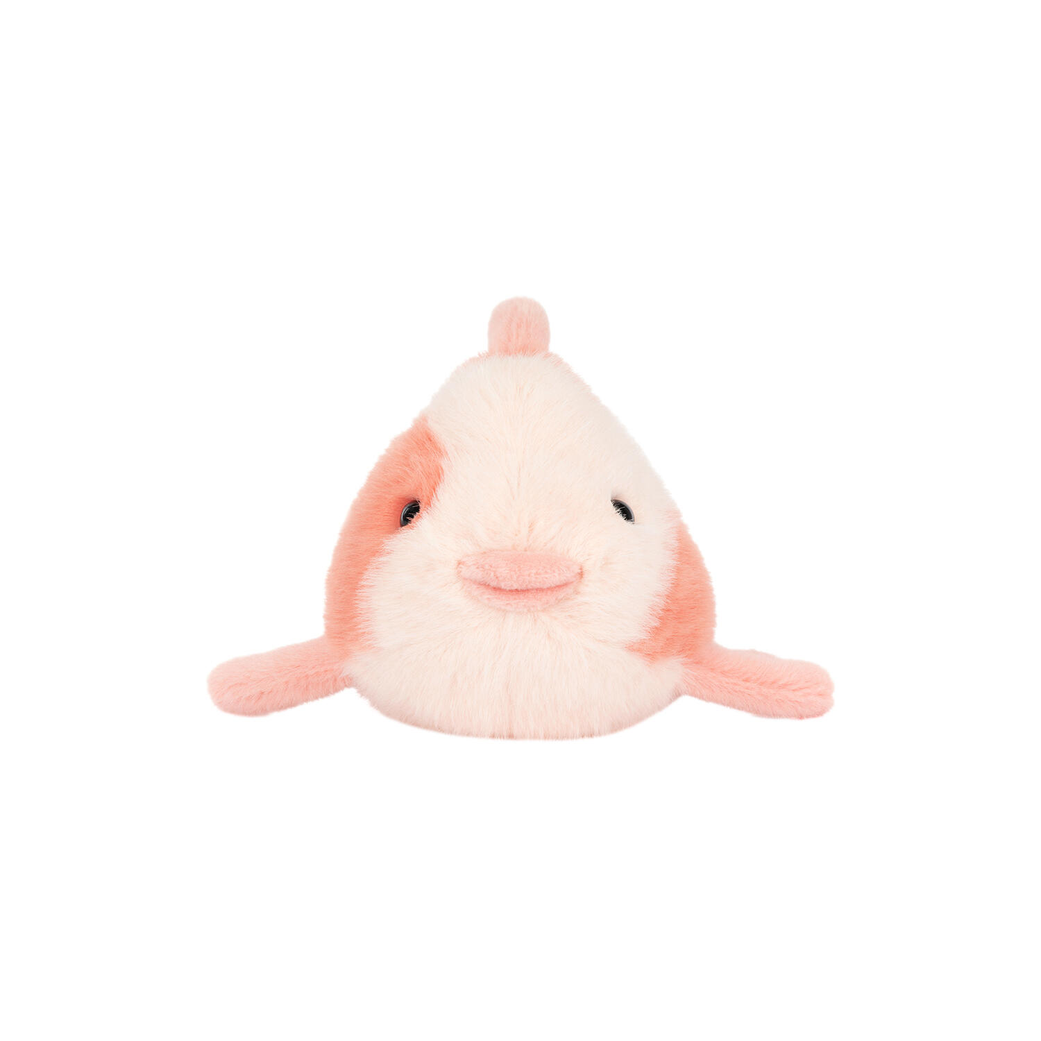 Fancy Carp