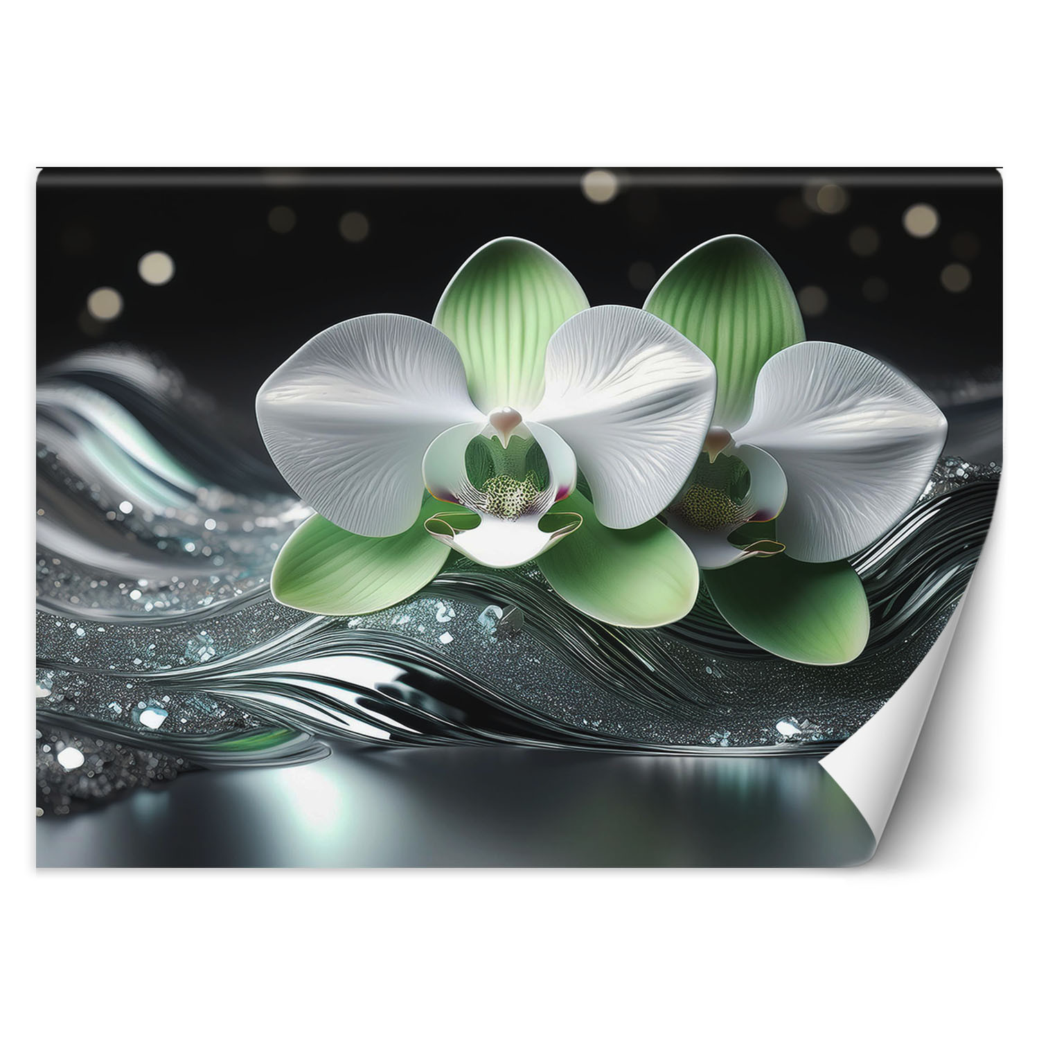 Feeby Fototapeta Abstrakcja orchidei