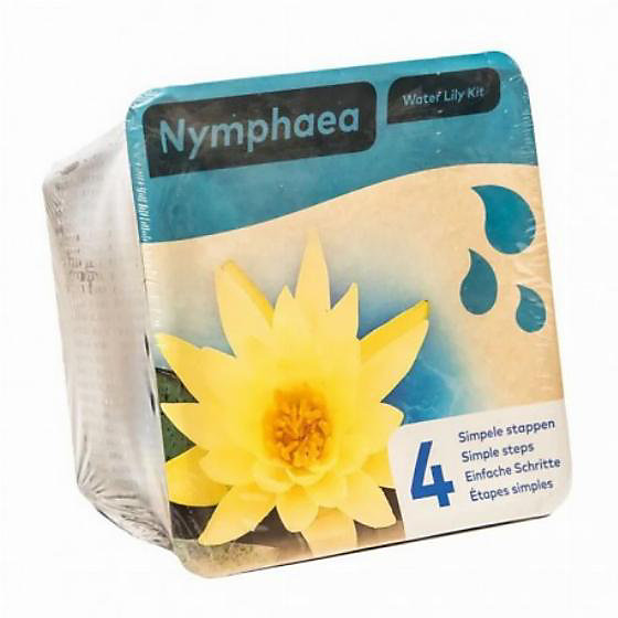 Kit Nénuphar - plante aquatique pour bassin - Jaune - Moerings