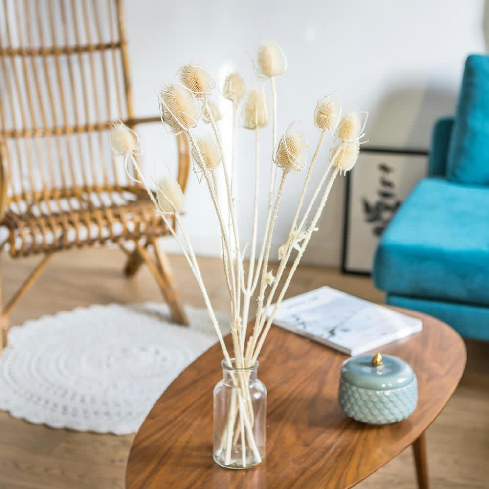 CHARDONS - Botte de fleurs séchées chardons secs