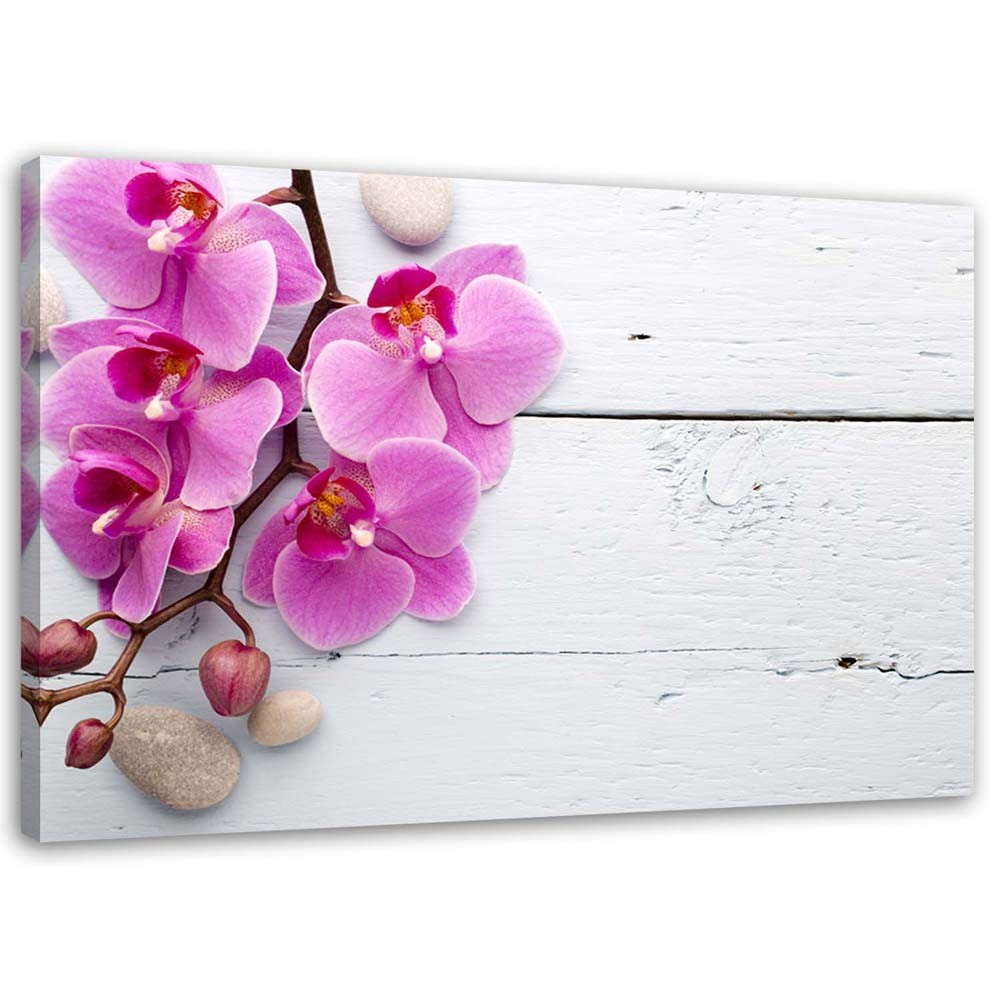 Feeby Obraz na płótnie Różowa orchidea i pąki 60x40