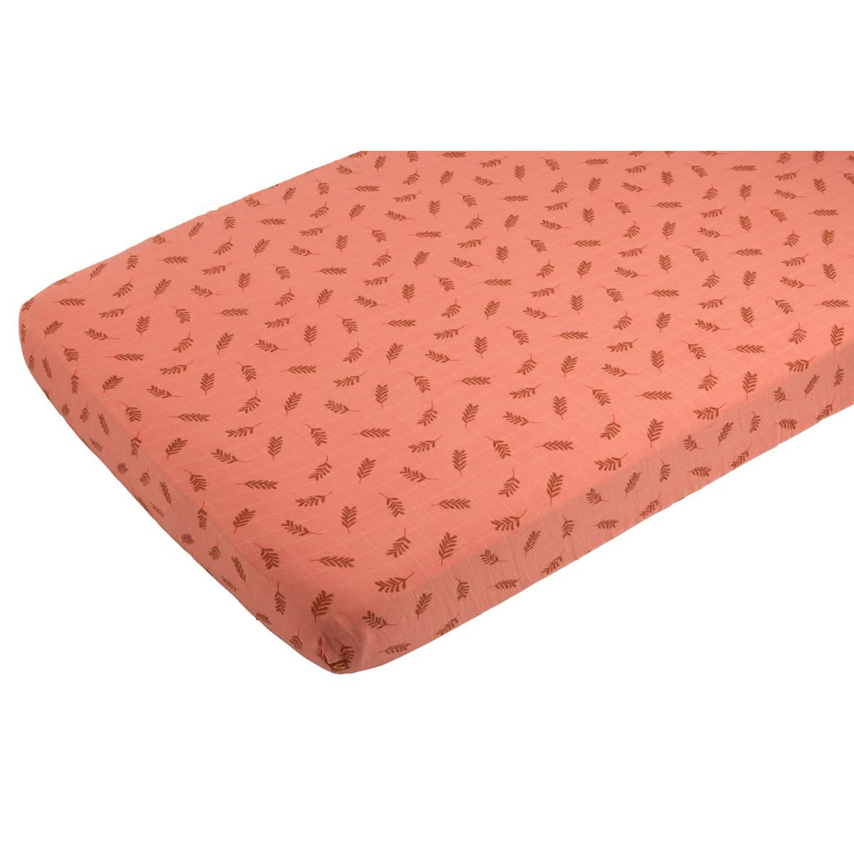 ESMEE - Draps housse en coton blanc