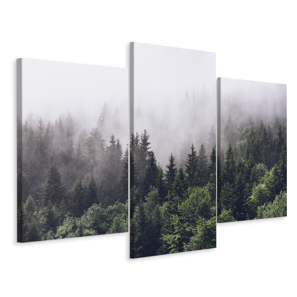 Obraz 3-Częściowy LAS Drzewa We Mgle Pejzaż 3D 60x40cm
