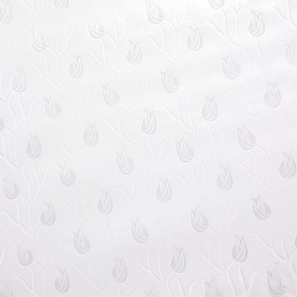 Film brise-vue transparent 45x200cm