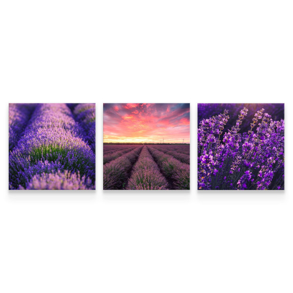 Obrazy Do Kuchni SET Barwne Kwiaty Lawendy 120x40cm