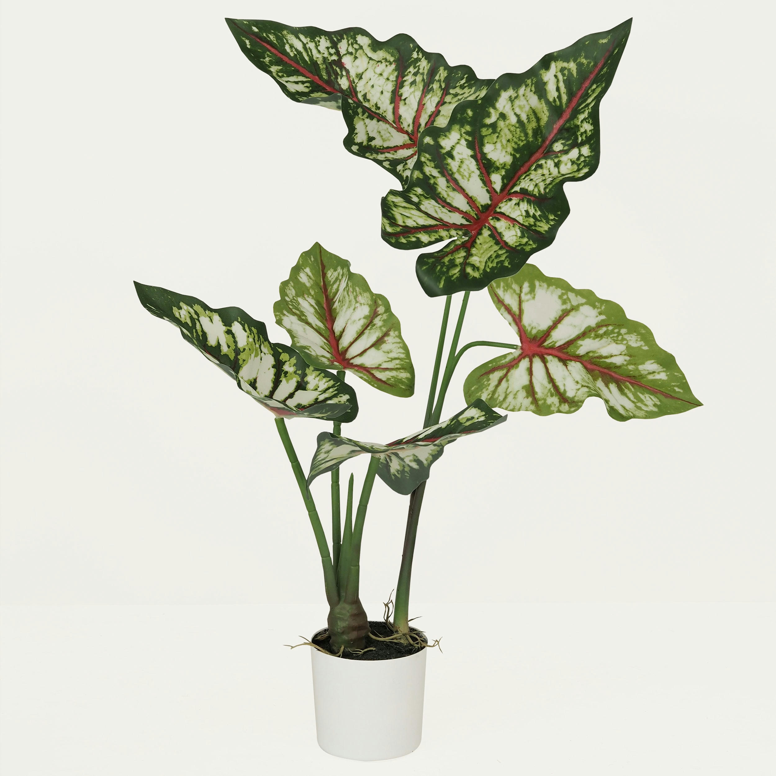 - Caladium bicolor artificiel 70cm