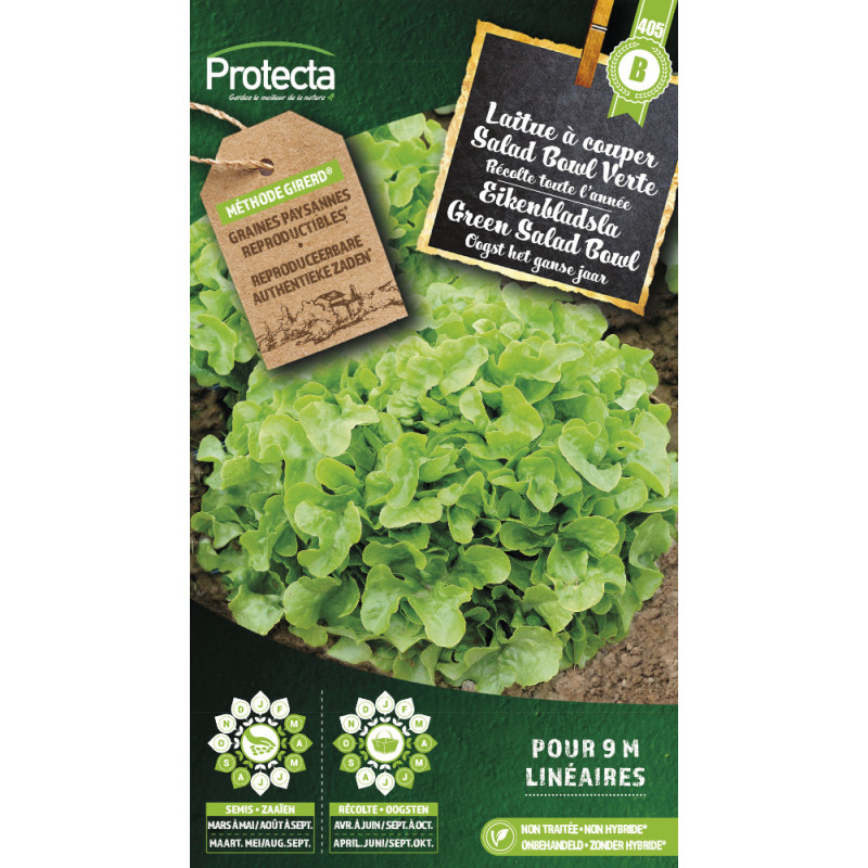 Semences de laitue à couper Salad Bowl Verte PROTECTA
