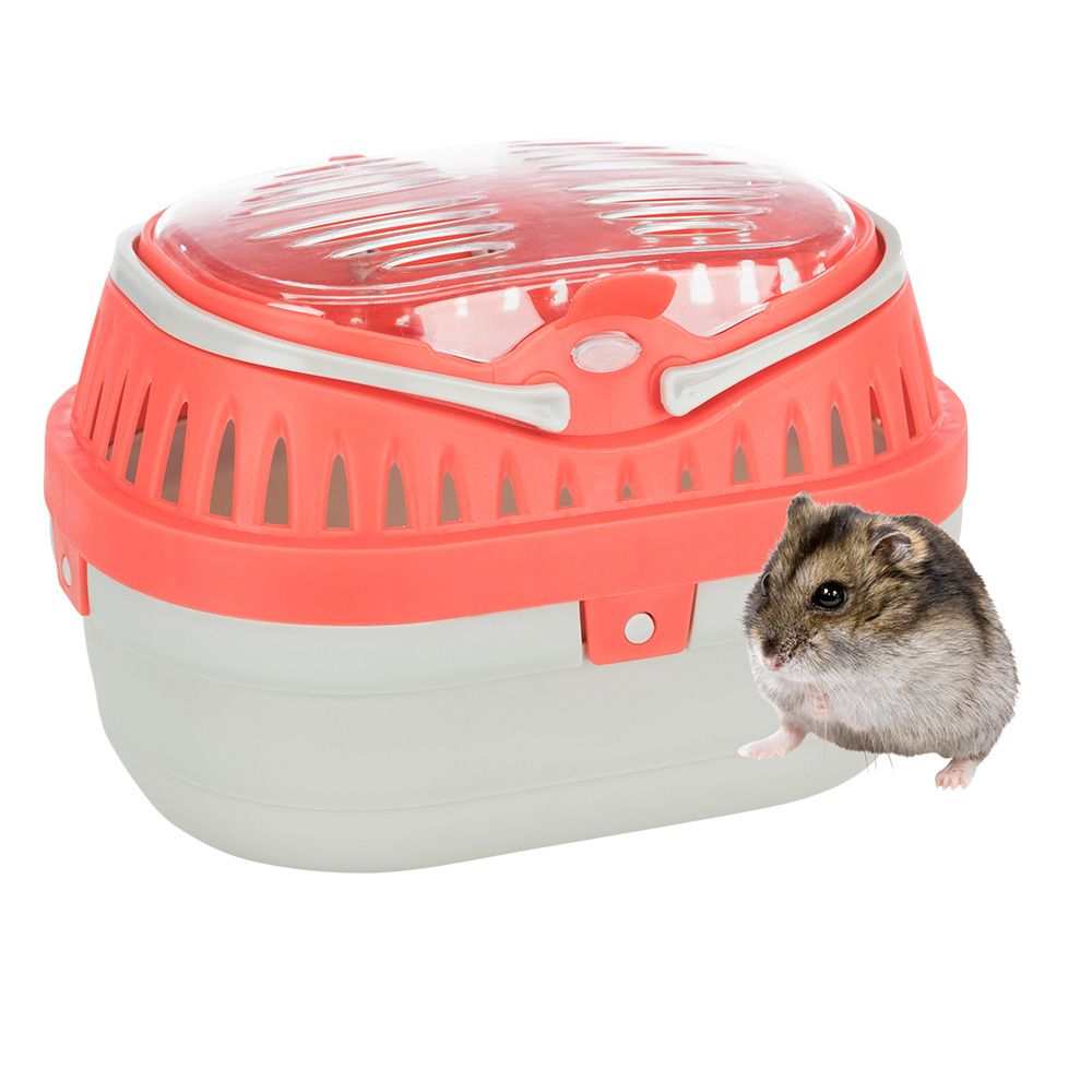Trixie Pico Transport Box for Small Pets