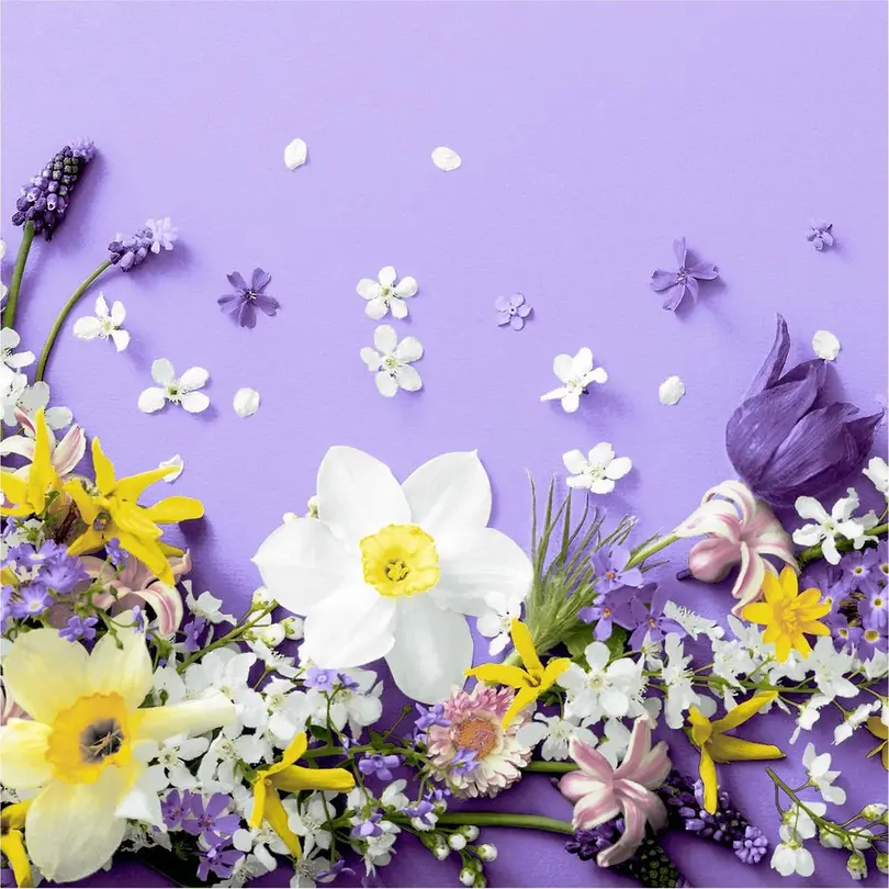 Serviette 20er-Set Soft Spring