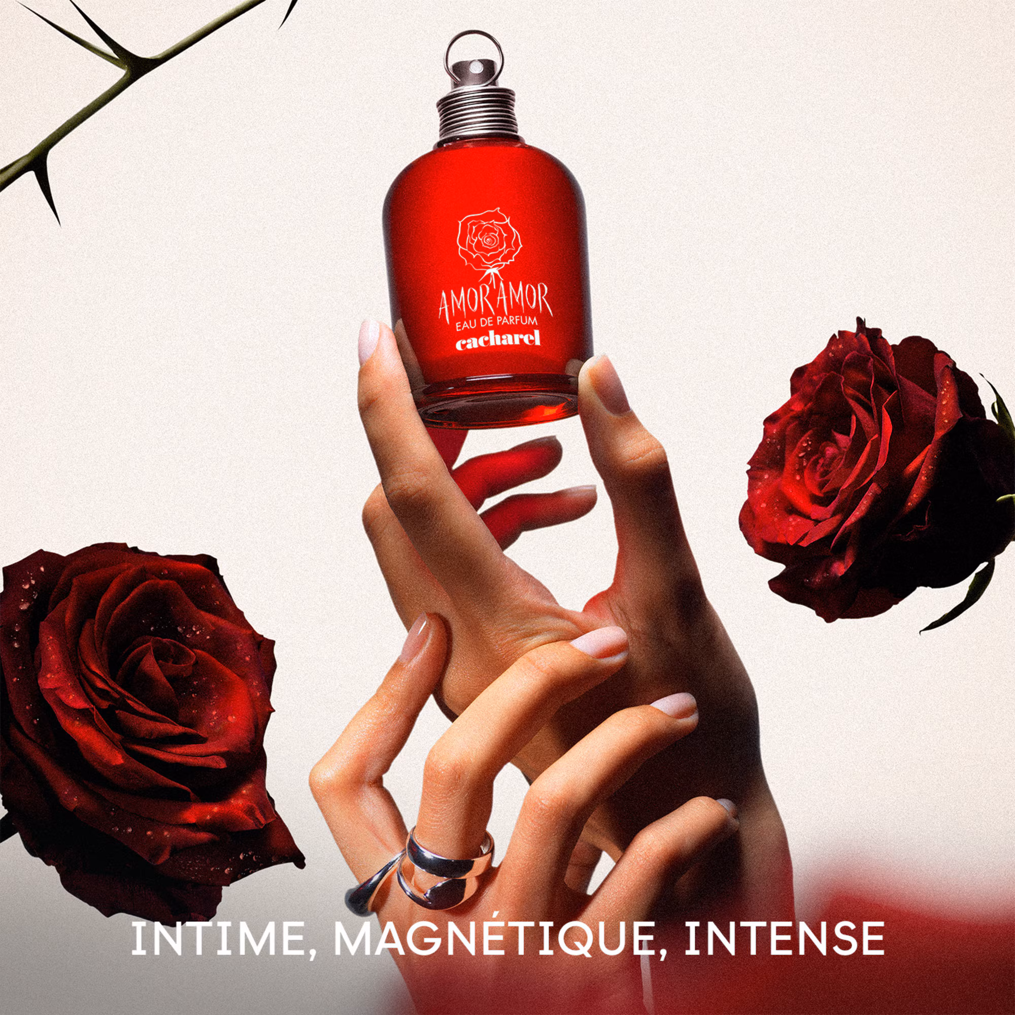 AMOR AMOREau de parfum