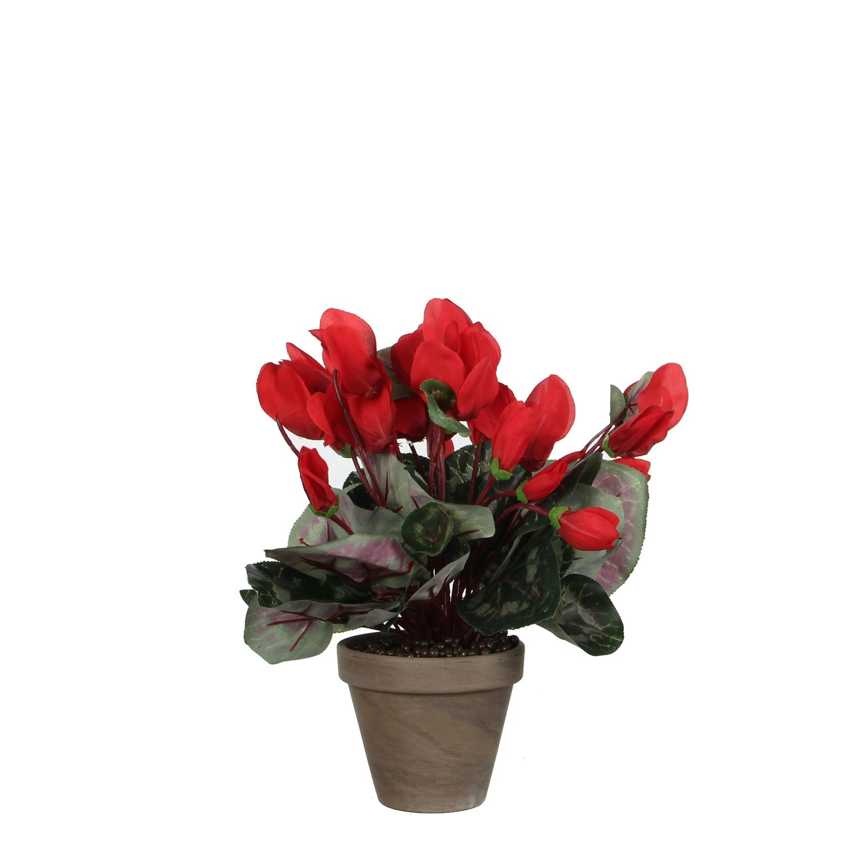 - Cyclamen artificielle rouge en pot H30