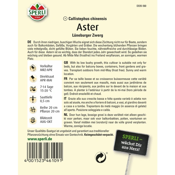 Aster »Lüneburger Zwerg«, einjährig, kompakter, buschiger Wuchs, Höhe ca. 25 cm