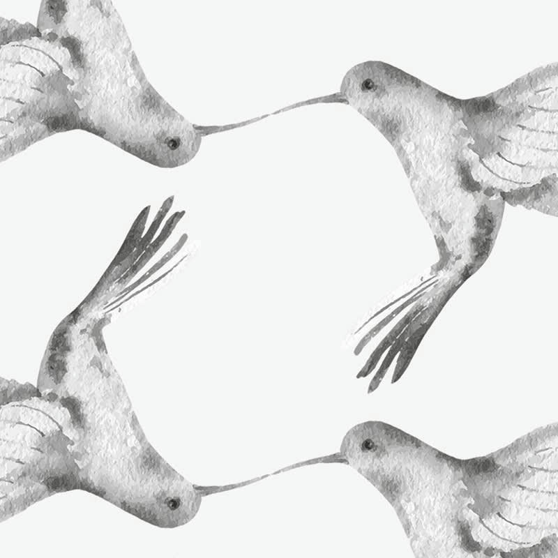 COLIBRI - Crédence cuisine Lot de 2 crédences ALU L120xH50cm Noir Oiseaux