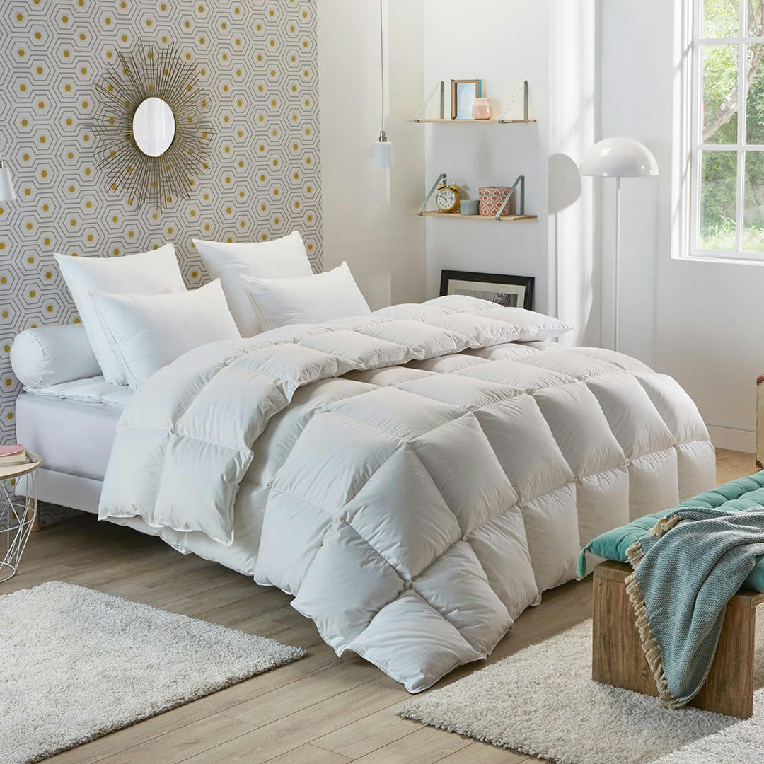 - Couette Tradition CHAUDE - 50% Duvet de Canard 200x200 cm - DODO