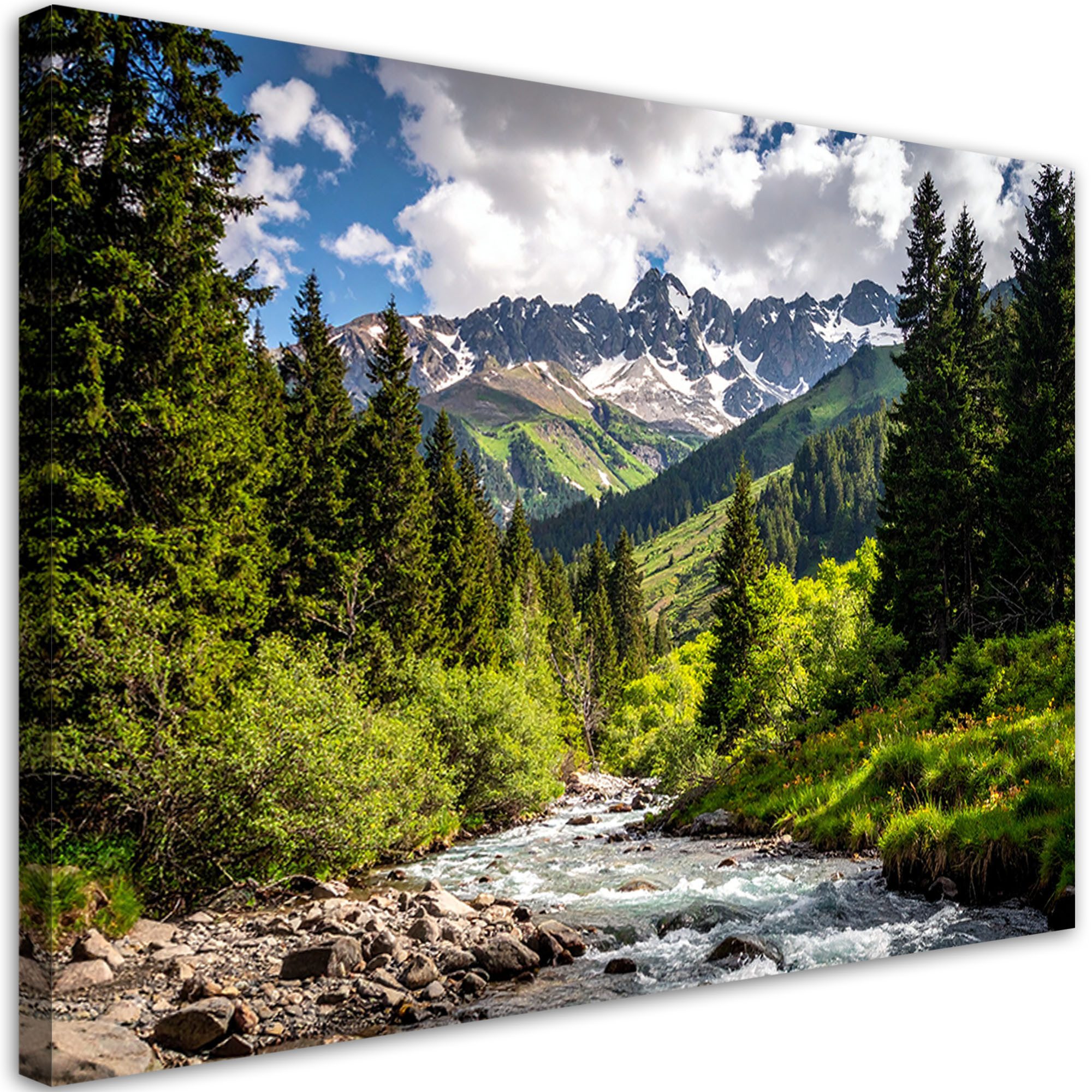 Obraz do salonu sypialni biura, Krajobraz góry las rzeka natura 30x20