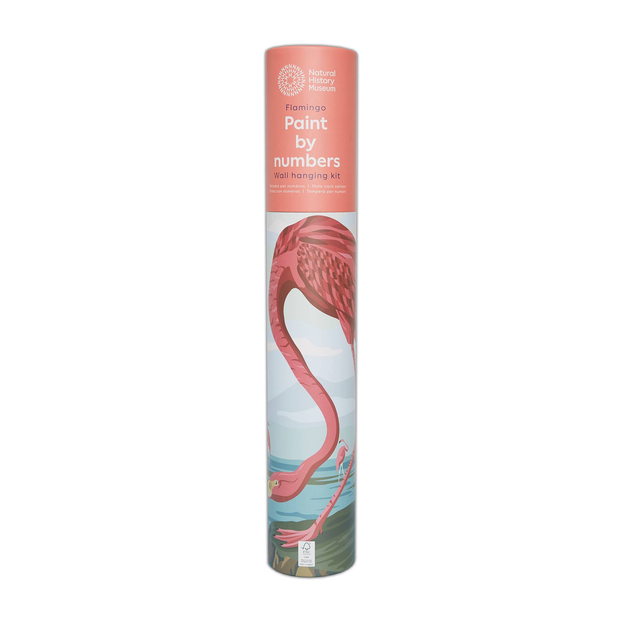 NHM Flamingo Paint by Numbers Wall Hanging Kit