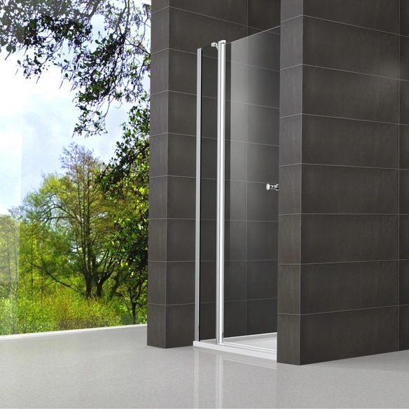 Drehtür, BxH: 90 x 195 cm, Sicherheitsglas, silberfarben