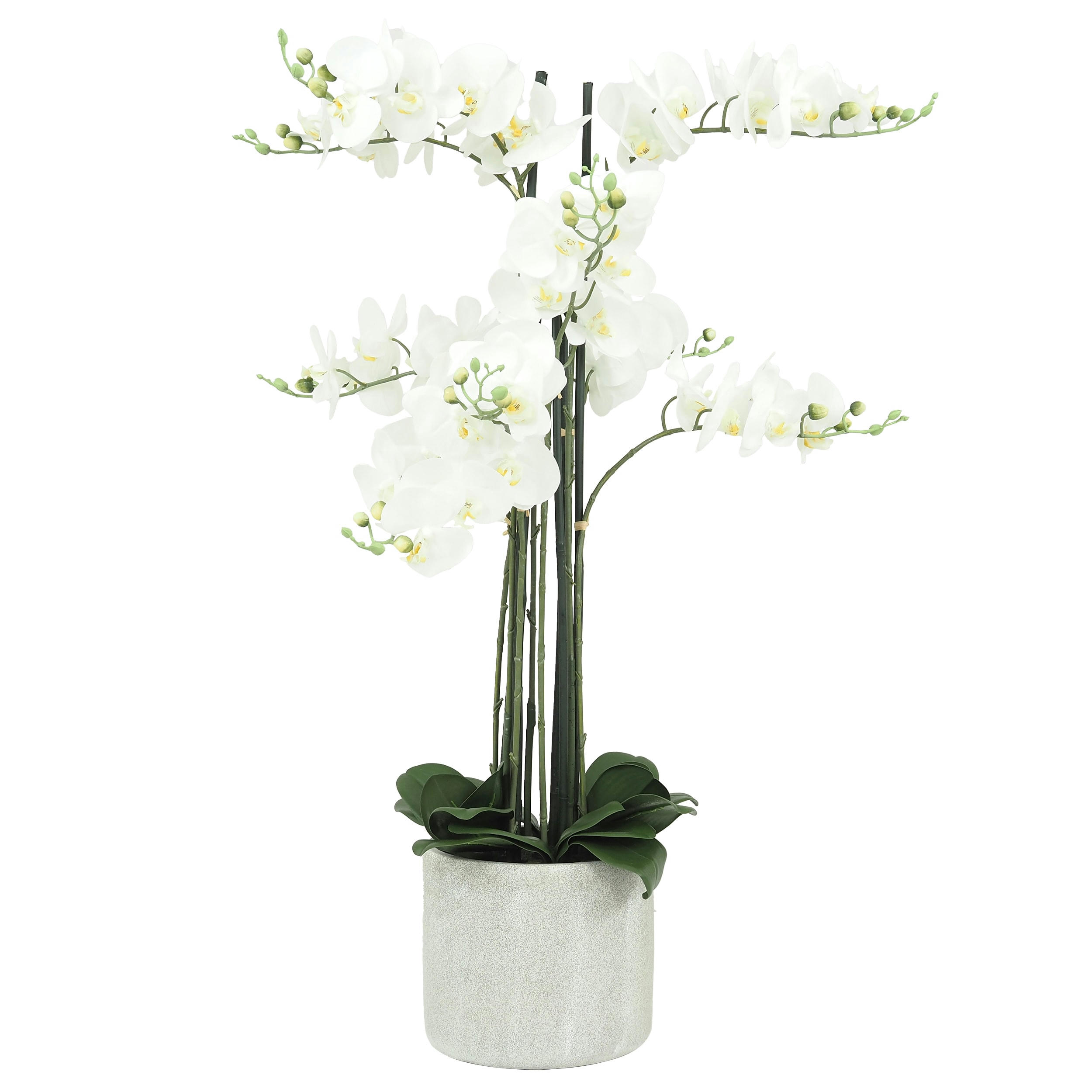 - Orchidées artificielles pot en ciment 105cm