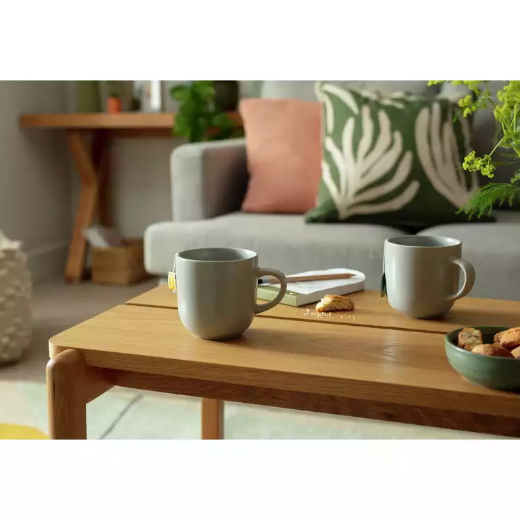 Habitat Set of 4 Mugs- Matte Grey