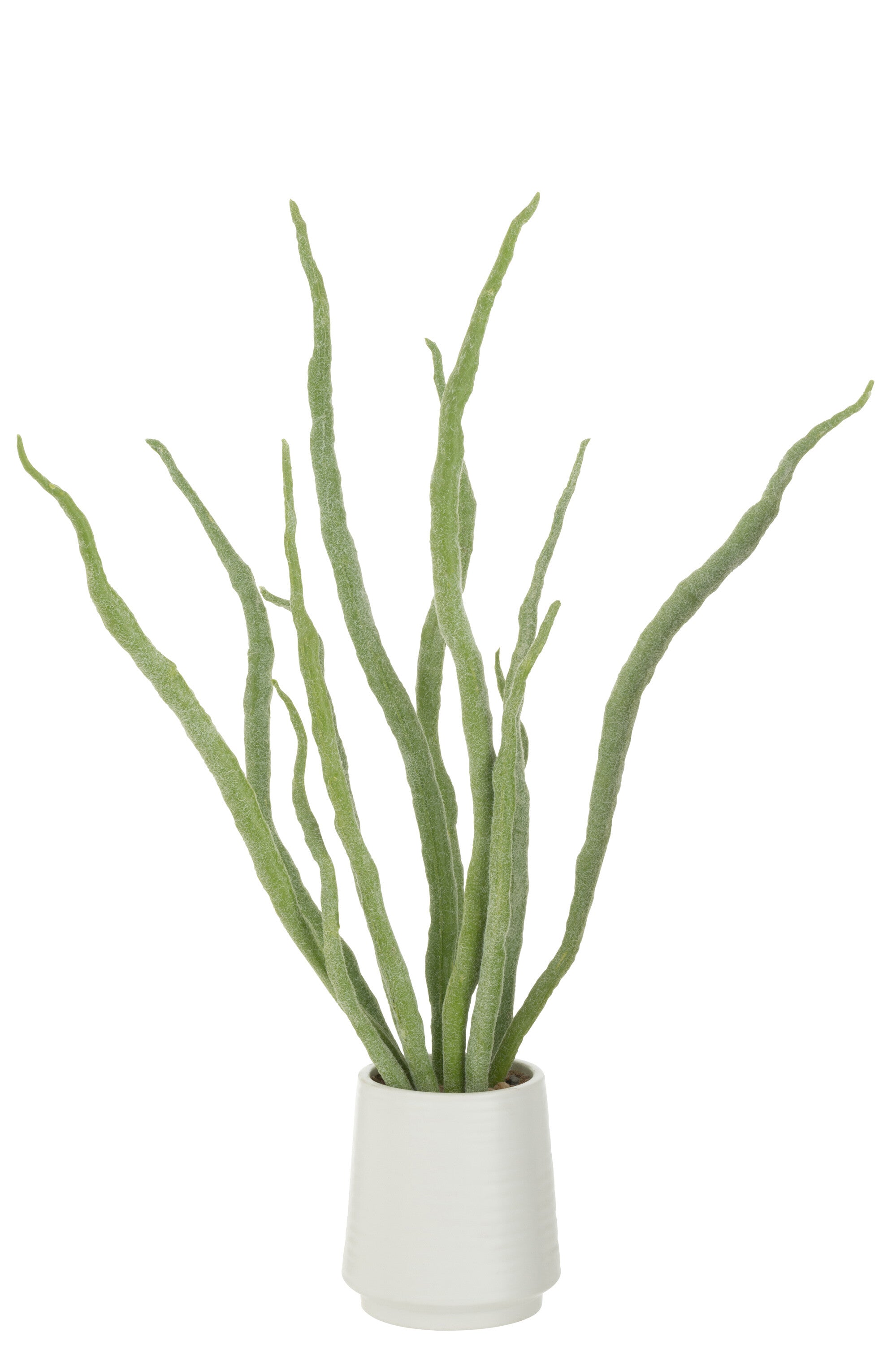 J-Line vetplant in pot - kunstmatig - groen