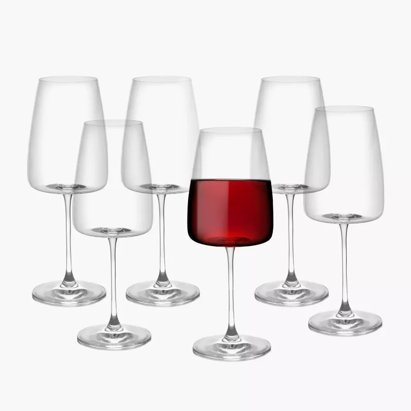 Kieliszki do czerwonego i białego wina DUKA GUSTAV 6 szt. 500 ml szkło kryształowe