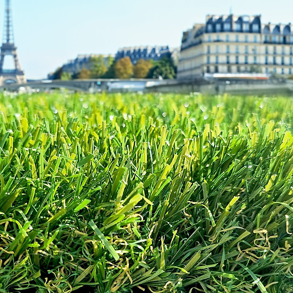 Gazon synthétique Adore Paris 60mm 2mx14m