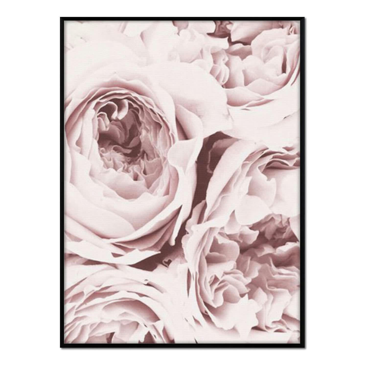 FLORES - Affiche avec cadre noir - Roses - 30x40
